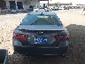 4T1G11AK6PU****** Destrozados 2023 Toyota Camry