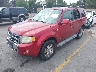 1FMCU04168K****** Used and Repairable 2008 Ford Escape in Fremont