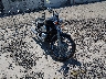 JH2RC44085M****** Salvage and Wrecked 2005 Honda VT750 (Shadow Spirit 750) in Davenport