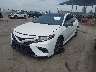4T1B11HK3KU****** Usados y Reparables 2019 Toyota Camry en Fresno
