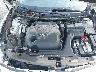 1N4AA6AP6HC****** Repairable 2017 Nissan Maxima in Philadelphia