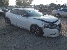 1N4AA6AP6HC****** Salvage and Wrecked 2017 Nissan Maxima in Philadelphia