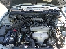 1HGCD5636TA****** Reparables 1996 Honda Accord en Raleigh