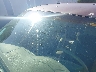 1G1ND52J9Y6****** Salvage and Repairable 2000 Chevrolet Malibu in Arizona State