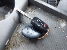 5J6RE48579L****** Salvage 2009 Honda CR-V in North Carolina State