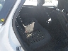 3FA6P0H78DR****** Destrozados 2013 Ford Fusion en Kansas City East