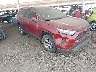 2T3W1RFV4RW****** Salvage and Wrecked 2024 Toyota RAV4 in Phoenix