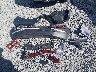 KM8K12AA8KU****** Wrecked 2019 Hyundai Kona in Washington State