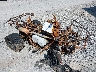 A8MACHFA8TJ****** Salvamento y Destrozados 2026 Massimo Tboss en Pulaski