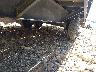 5LCFT2521P1****** Repairable 2023 Kearney Trailers Gthddt 25 in Longview