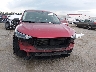 1FMCU0GN7SU****** Usados 2025 Ford Escape en Estado de Luisiana