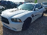 2C3CDXBG1EH****** Usados y Reparables 2014 Dodge Charger en Houston North