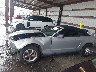 1ZVFT84N155****** Repairable 2005 Ford Mustang in Florida State
