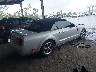 1ZVFT84N155****** Salvage and Wrecked 2005 Ford Mustang in Florida State