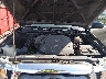 5TEUU42N39Z****** Reparables 2009 Toyota Tacoma en Shady Spring
