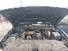 1GCEC14X19Z****** Repairable 2009 Chevrolet Silverado 1500 in Elkton