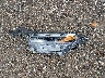 4T3RWRFV9RU****** Destrozados 2024 Toyota RAV4 Hybrid en Estado de Nueva York
