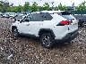 4T3RWRFV9RU****** Salvamento y Reparables 2024 Toyota RAV4 Hybrid en Long Island