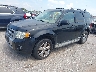 1FMCU04G49K****** Salvage and Repairable 2009 Ford Escape in Texas State