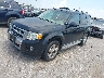 1FMCU04G49K****** Used and Repairable 2009 Ford Escape in Houston
