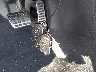 3VWVA7AT5CM****** Salvage 2012 Volkswagen Beetle in Georgia State