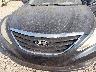 5NPEB4AC5CH****** Salvamento y Reparables 2012 Hyundai Sonata en Estado de Indiana