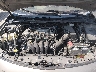 1NXBU4EE9AZ****** Reparables 2010 Toyota Corolla en Indianapolis