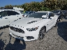 1FA6P8CF1H5****** Used and Repairable 2017 Ford Mustang in Dallas-Fort Worth