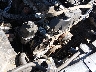 1GNDT13S332****** Salvage 2003 Chevrolet Trailblazer
