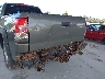5TBBV54188S****** Reparables 2008 Toyota Tundra