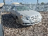 4T1BK36B78U****** Salvamento y Destrozados 2008 Toyota Avalon en Corpus Christi
