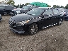 5NPE34AF8FH****** Usados y Reparables 2015 Hyundai Sonata en Detroit
