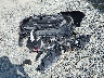 5TDDZRFH5KS****** Repairable 2019 Toyota Highlander