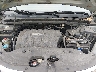 5FNRL3H49AB****** Reparables 2010 Honda Odyssey en Taunton