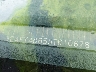3C4FY48B55T****** Wrecked 2005 Chrysler PT Cruiser
