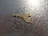 3B7HC13Y01G****** Salvamento 2001 Dodge Ram 1500 en Estado de Illinois