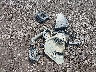3NSSPD922SG****** Destrozados 2025 Polaris RZR en Estado de Nueva York