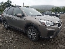 JF2SKAEC3KH****** Salvage and Wrecked 2019 Subaru Forester in Port Murray