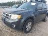 1FMCU03769K****** Salvamento y Reparables 2009 Ford Escape en Estado de Washington