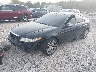 19UUA66258A****** Usados y Reparables 2008 Acura TL en Columbus