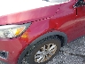 5XYPG4A53GG****** Salvamento y Reparables 2016 Kia Sorento en Estado de Florida