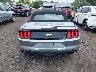 1FATP8UHXM5****** Salvage 2021 Ford Mustang
