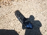 5YJSA1H22FF****** Wrecked 2015 Tesla Model S in Virginia State