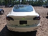 5YJ3E1EB5MF****** Wrecked 2021 Tesla Model 3