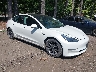 5YJ3E1EB5MF****** Salvage and Wrecked 2021 Tesla Model 3 in Suffolk