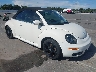 3VWFF31Y87M****** Salvamento y Destrozados 2007 Volkswagen New Beetle en Clearwater