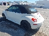 3VWFF31Y87M****** Salvamento y Reparables 2007 Volkswagen New Beetle en Clearwater