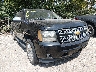 3GNFK32019G****** Salvamento y Destrozados 2009 Chevrolet Avalanche en Indianapolis