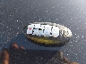 JN8AE2KP6F9****** Salvage 2015 Nissan Quest in North Carolina State