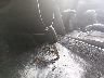 1HGCP3F88BA****** Salvamento 2011 Honda Accord en Estado de Virginia